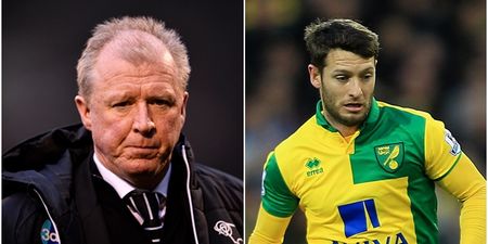 Wes Hoolahan might be due an apology from Steve McClaren