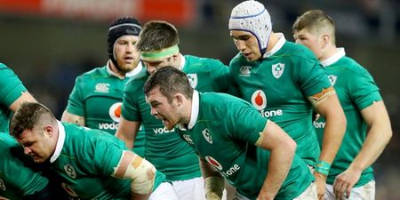Superb fitness boost for Ireland ahead of Six Nations
