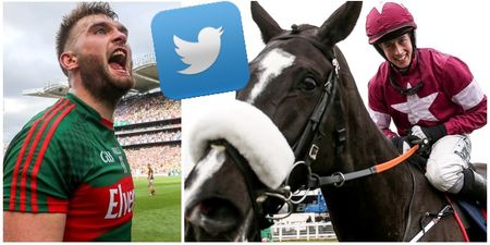 Aidan O’Shea brilliantly shoots down horse-loving Conor Mortimer after Don Cossack’s retirement