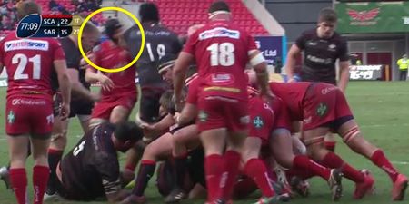 WATCH: A lot of rugby fans are accusing James Davies of diving after being slapped in Champions Cup
