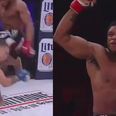 WATCH: Knockout monster Paul Daley brutally knocks out Brennan Ward with ferocious flying knee