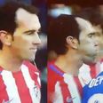WATCH: Diego Godin spat on by Deyverson, reacts furiously in equally disgusting manner