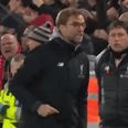 WATCH: The fourth official found out the loud way how much Jurgen Klopp enjoyed saved penalty