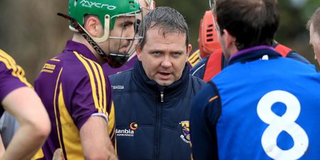 “They must think we’re some eejits” – Damien Hayes on Davy Fitzgerald’s Wexford exile