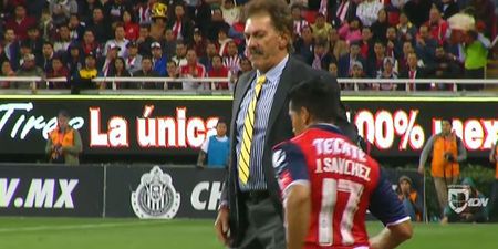 WATCH: Argentine manager receives red card for incredibly idiotic act