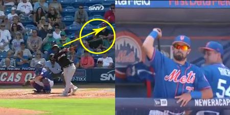 WATCH: Young prospect deals with dangerous flying bat in the coolest way possible