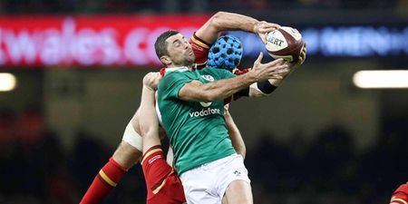 No-one could believe just what was happening during the Wales and Ireland match