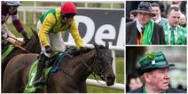 Here are the horses you should be backing on final day of Cheltenham Festival