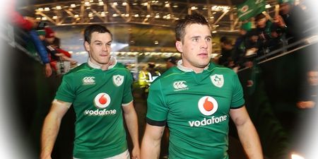 Leading New Zealand rugby writer makes bold claim that Irish fans will enjoy