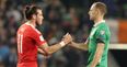 David Meyler’s comments after Wales really sum up how important he is for Ireland