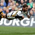 WATCH: Willie Le Roux inexplicably drops the ball with the line at his mercy