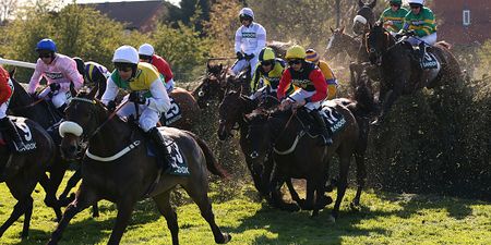If all 40 Grand National horses were well known sportspeople, they’d be…