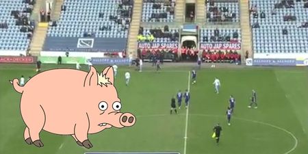 WATCH: Match in England delayed due to ‘pig’ pitch invasion