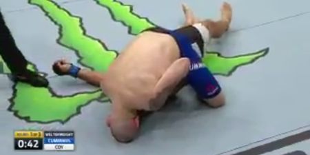 WATCH: UFC commentators scream at referee who seemed to have no idea fighter was unconscious