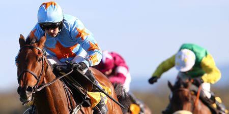 Three horses to back on the opening day of Punchestown Festival