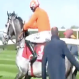 WATCH: Punters enraged as Cheltenham champion refuses to race at Punchestown