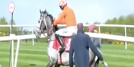WATCH: Punters enraged as Cheltenham champion refuses to race at Punchestown