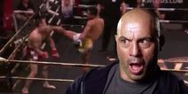 Joe Rogan calls promotion out as complete mismatch ends exactly as brutally as everyone expected