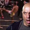 Joe Rogan calls promotion out as complete mismatch ends exactly as brutally as everyone expected