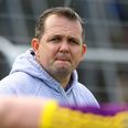 Davy Fitz ‘will be loving’ his suspension, claims Wexford football boss