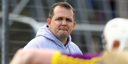 Davy Fitz ‘will be loving’ his suspension, claims Wexford football boss