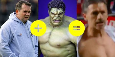 Furious former Arsenal defender Nelson Vivas’ channels his inner Hulk and Davy Fitz