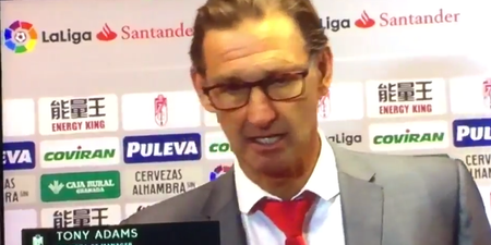 Tony Adams’ relegation reaction shows he might be able to coach himself out of a paper bag