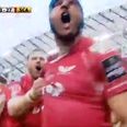 Rejected Leinster lock Tadhg Beirne bashes two Lions out of his way for stunning try