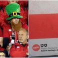 PIC: Irish Lions fans have a new favourite beer thanks to this cheeky bit of “Brit” trolling