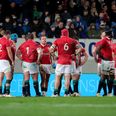 Stephen Ferris identifies the one Irish player who can be the Lions’ ‘match-winner’