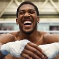 Anthony Joshua had a fitting response after being called out to fight on McGregor vs. Mayweather undercard