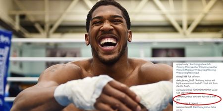 Anthony Joshua had a fitting response after being called out to fight on McGregor vs. Mayweather undercard