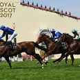 Four horses to back on Day One of Royal Ascot