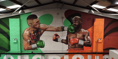 WATCH: Conor McGregor is left speechless after he sees the Mayweather mural in his gym