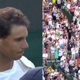 Rafael Nadal’s reaction to defeat brings stunning ovation from Wimbledon crowd