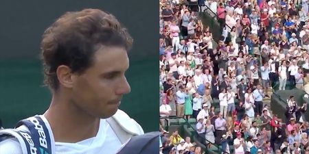 Rafael Nadal’s reaction to defeat brings stunning ovation from Wimbledon crowd