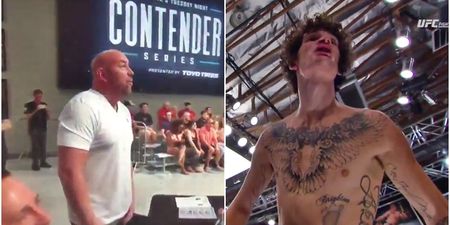 Sean O’Malley earns UFC contract with stunning knock-out that sent Dana White wild