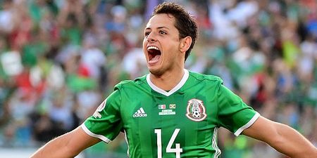 Javier Hernandez is returning to the Premier League for an absolute bargain price
