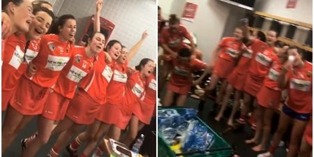 Cork’s changing room celebrations sum up what they just did
