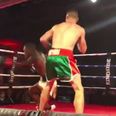 Undefeated Monaghan prospect scores devastating first round knockout