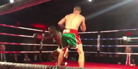 Undefeated Monaghan prospect scores devastating first round knockout