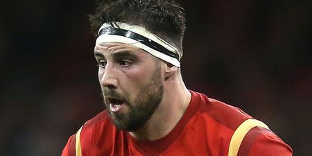 “Stupid” Welsh rugby star misses game after being bitten by a lion