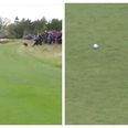 This ridiculously flukey shot may just be the one to help Paul Dunne get his maiden win