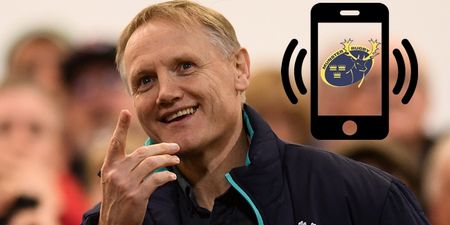 Joe Schmidt has played a crucial role in two of Munster’s best signings
