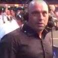 UFC couldn’t possibly have timed Joe Rogan error any worse