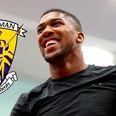 Golden boy of Wexford hurling shows Anthony Joshua how to REALLY spar