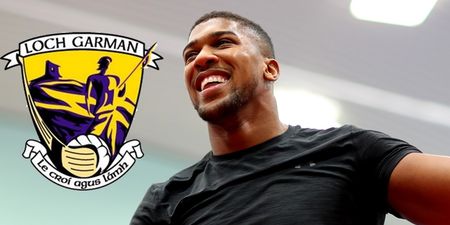 Golden boy of Wexford hurling shows Anthony Joshua how to REALLY spar