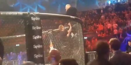 Conor McGregor slaps commissioner after confrontation with referee