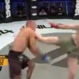 SBG starlet Dylan Tuke bounces back with phenomenal knockout in Dublin