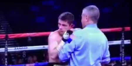 English boxer nearly loses ear in gruesome Las Vegas defeat